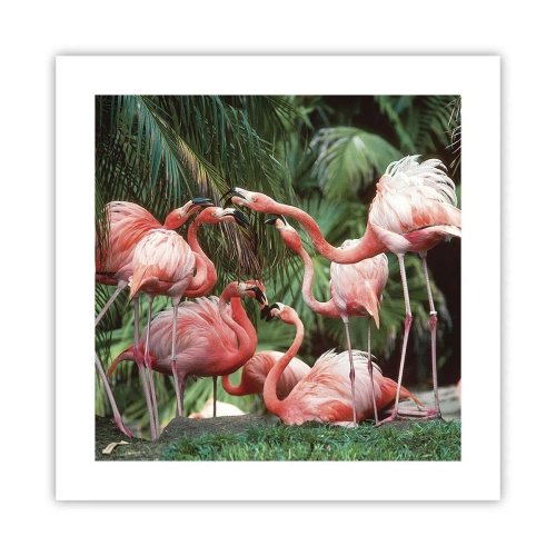 Pôster - Fofocas da tarde - 40x40 cm