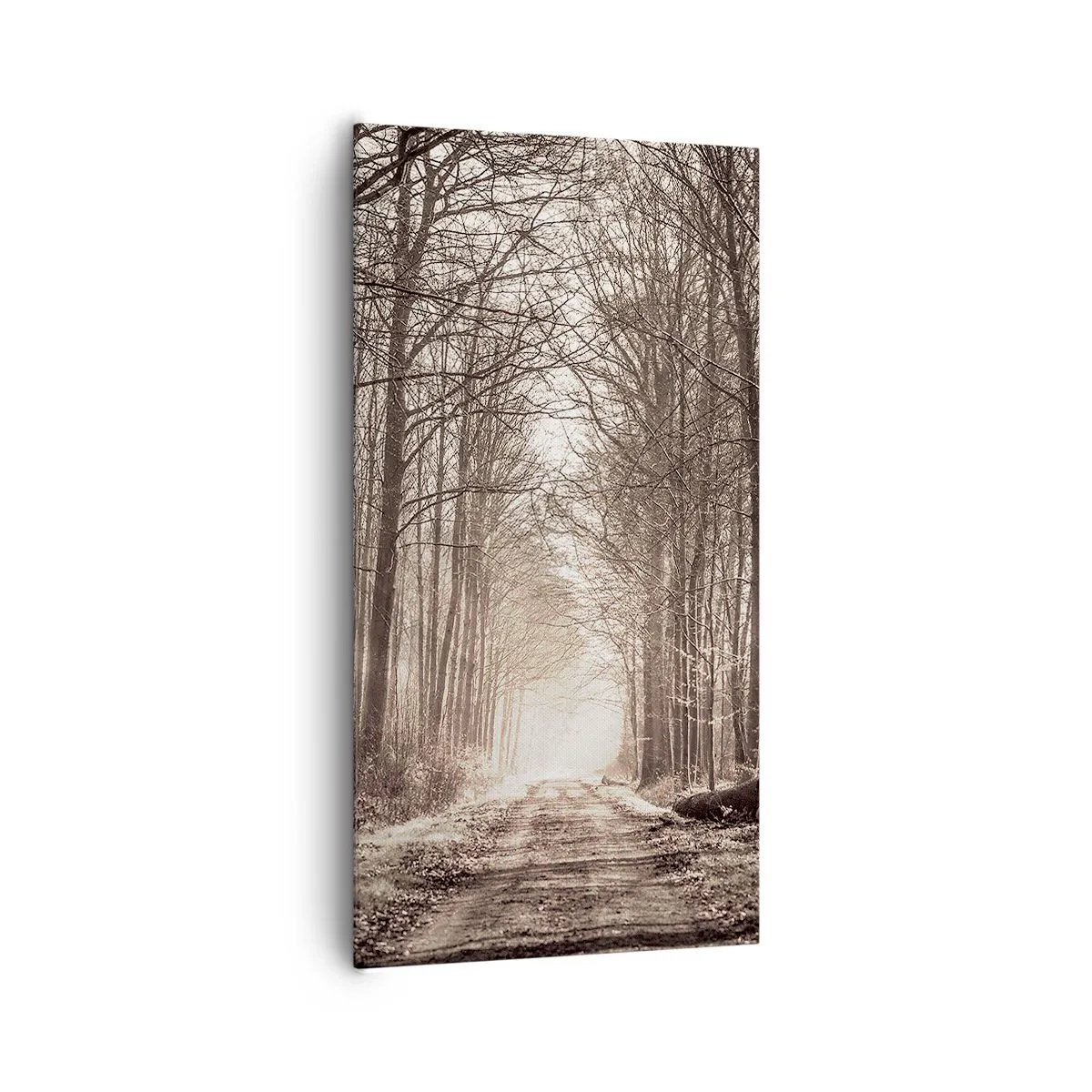 Quadro em tela - Catedral na Floresta - 65x120 cm