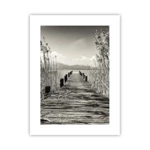 Pôster - No silêncio da relva - 30x40 cm