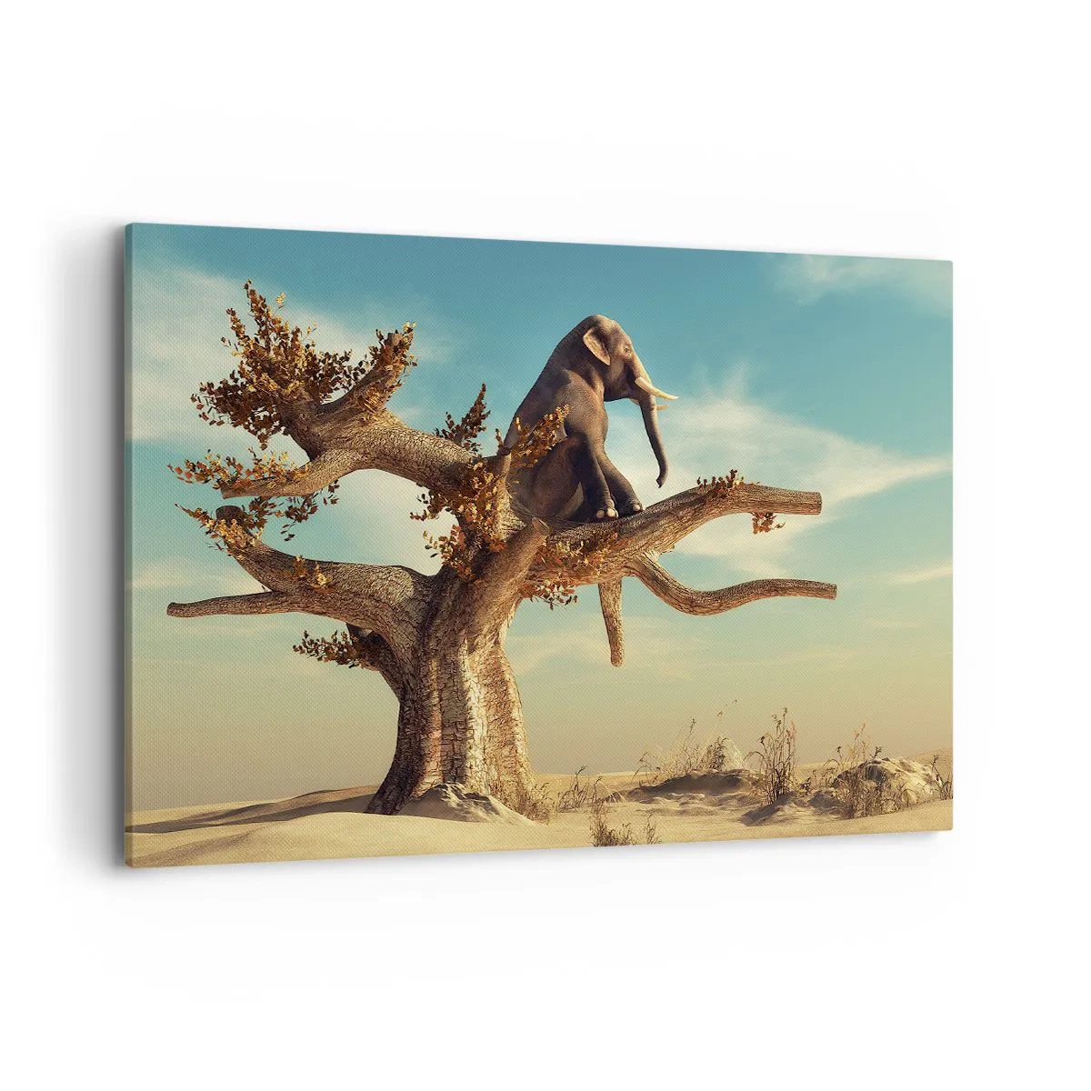 Quadro em tela - Um novo ponto de vista - 100x70 cm