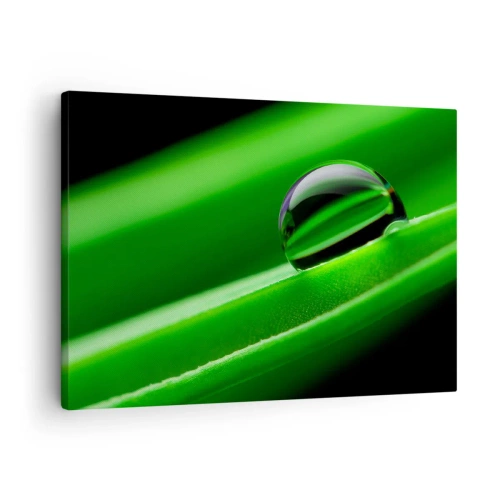 Quadro em tela - Close-up de uma gota de orvalho em uma folha verde - 70x50cm - A vida de perto - Decoração de parede moderna para a sala de estar e quarto ARTTOR
