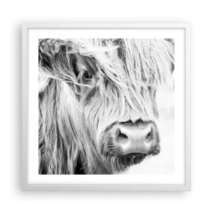 Pôster em moldura branca - Natureza selvagem escocesa - 50x50 cm