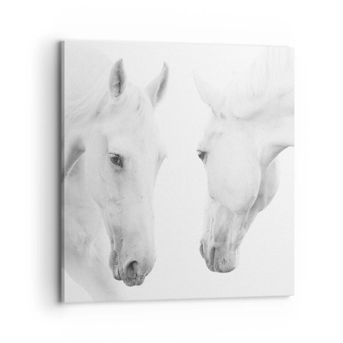 Quadro em tela - Será amizade...? - 70x70 cm