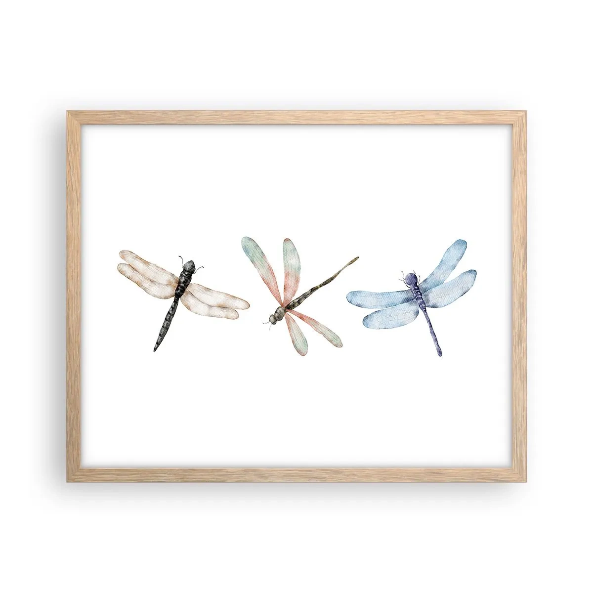 Pôster com moldura de carvalho claro - Libélulas sem peso - 50x40 cm