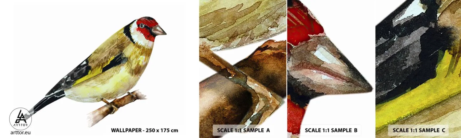 Amostra de Papel de Parede Standard Eco - Retrato de um pássaro - Pintassilgo, Pássaro, Pedaço - 100x30 cm