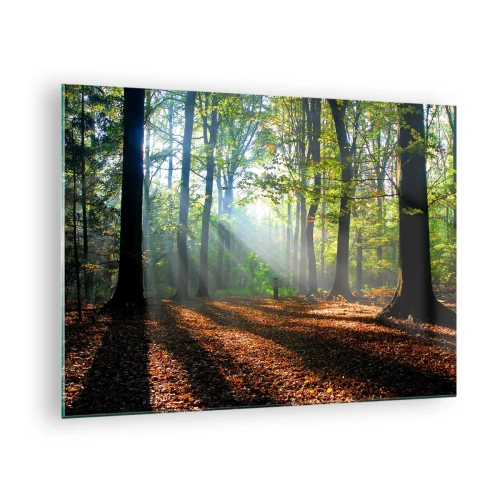 Quadro em vidro - Uma floresta sob os raios do sol em uma paisagem de outono - 70x50cm - Luzes e sombras - Decoração de parede moderna para a sala de estar e quarto ARTTOR