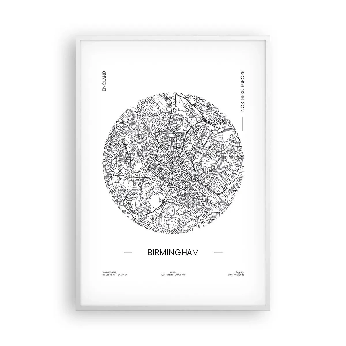 Pôster em moldura branca - Anatomia de Birmingham - 70x100 cm