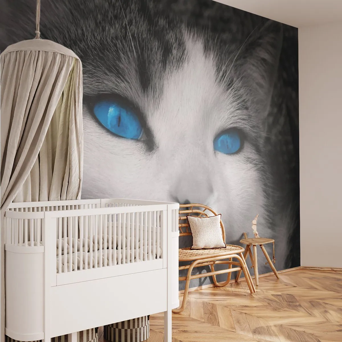 Papel de Parede Premium Canvas - Raridade de olhos azuis - Animais, Gato, Olhos azuis - 100x70 cm