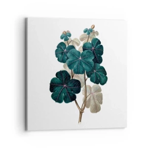 Quadro em tela - Do antigo herbário - 70x70 cm