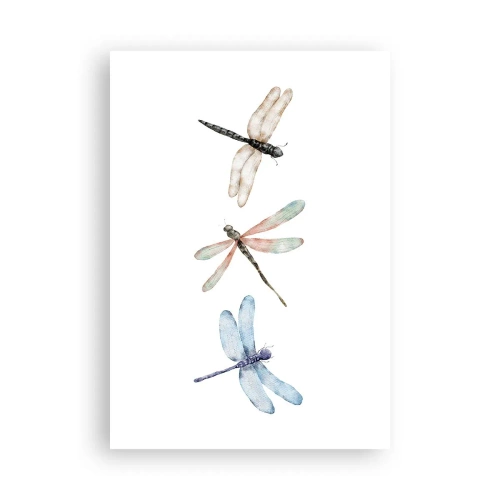 Pôster - Libélulas sem peso - 70x100 cm