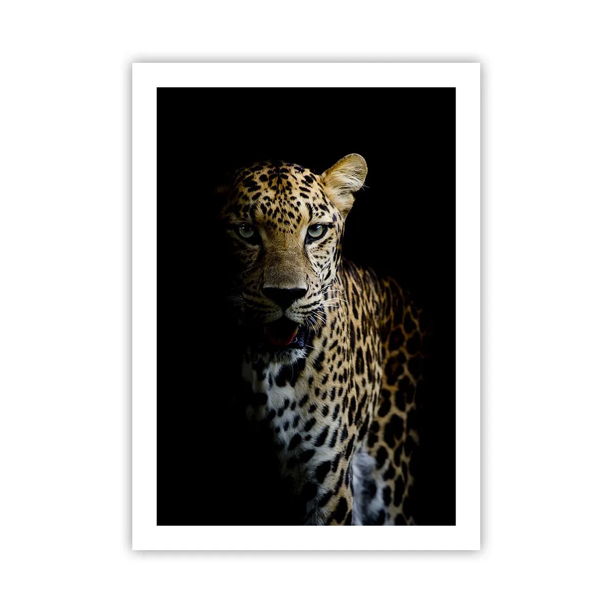 Pôster - Beleza escura - 50x70 cm
