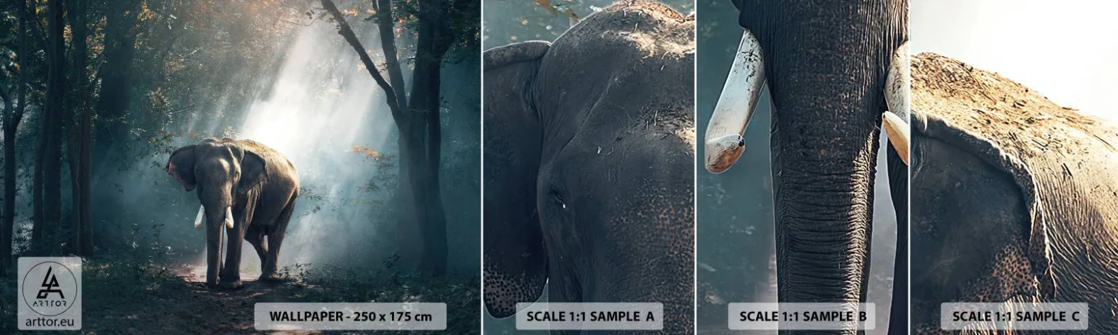 Amostra de Papel de Parede Standard Eco - Um passeio descontraído - Animais, Elefante, Selva - 100x30 cm