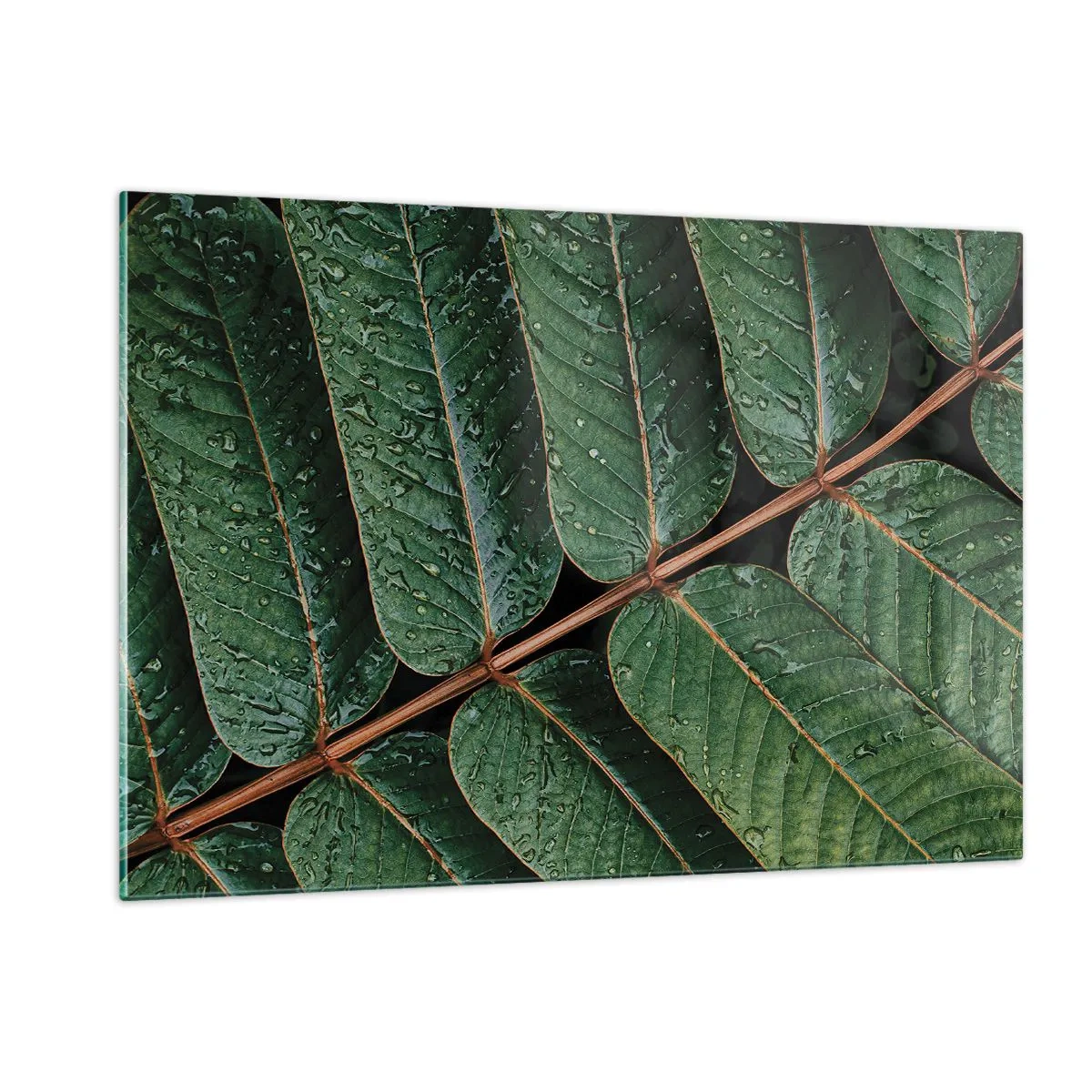 Quadro em vidro - Num ritmo verde - 120x80 cm