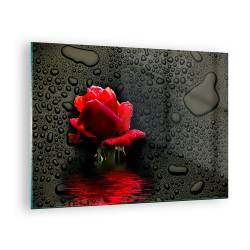 Quadro em vidro - Rosa vermelha com gotas de água em um fundo escuro - 70x50cm - Vermelho e preto - Decoração de parede moderna para a sala de estar e quarto ARTTOR