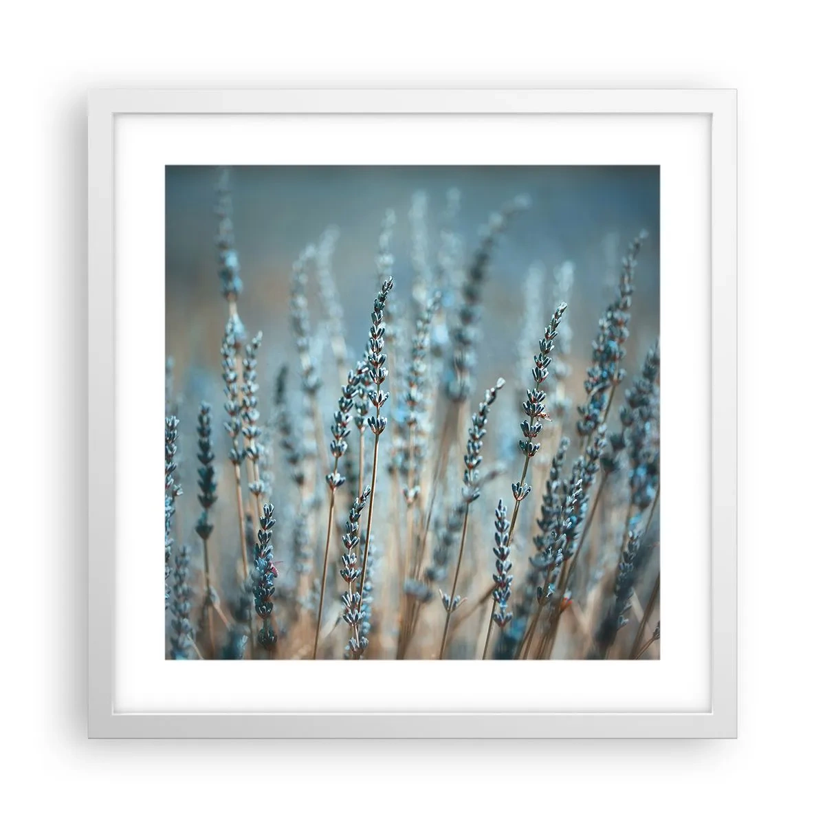 Pôster em moldura branca - Prado perfumado - 40x40 cm