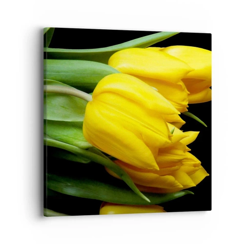 Quadro em tela - Feitas a partir do sol - 40x40 cm