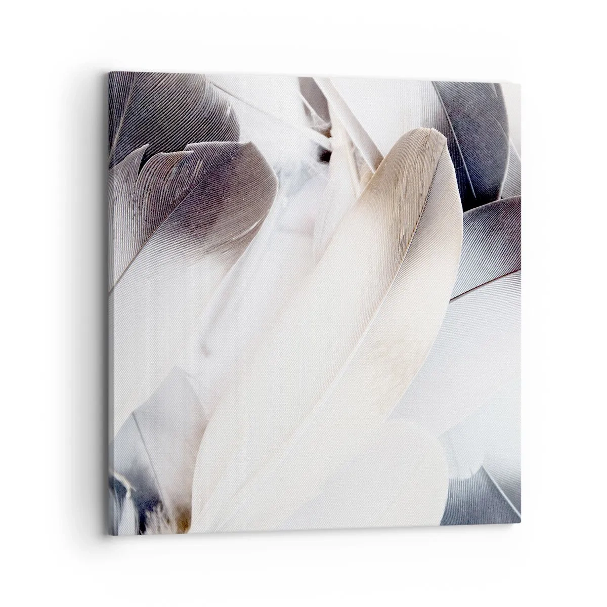 Quadro em tela - Semi-angelical - 70x70 cm