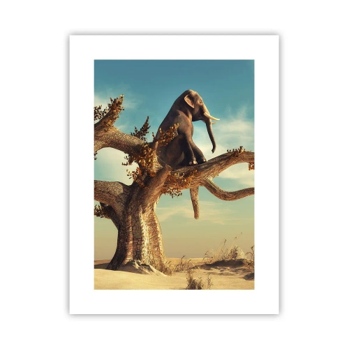 Pôster - Um novo ponto de vista - 30x40 cm