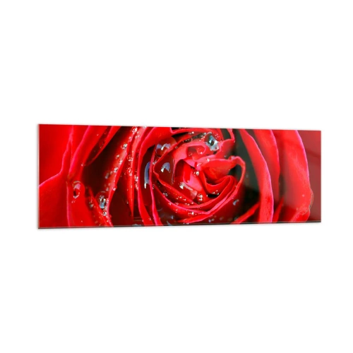 Quadro em vidro - Em gotas de orvalho - 160x50 cm