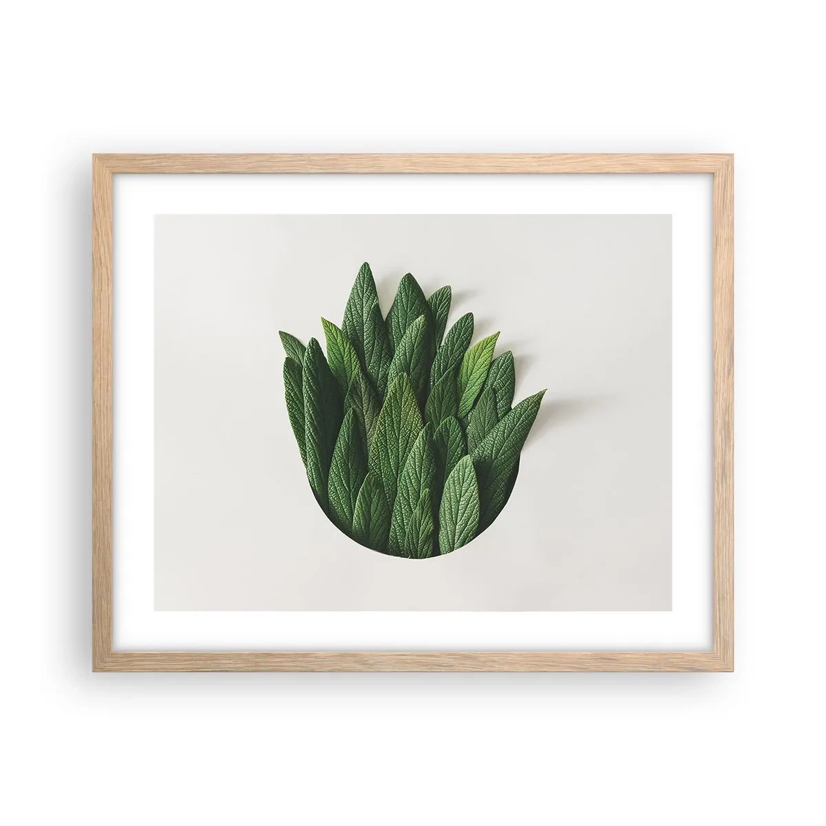 Pôster com moldura de carvalho claro - Curiosidade indomável - 50x40 cm