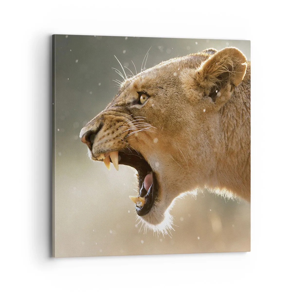 Quadro em tela - Tente não ouvir - 70x70 cm