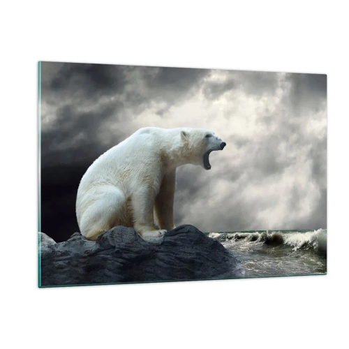 Quadro em vidro - O Rei Solitário do Ártico - 120x80 cm
