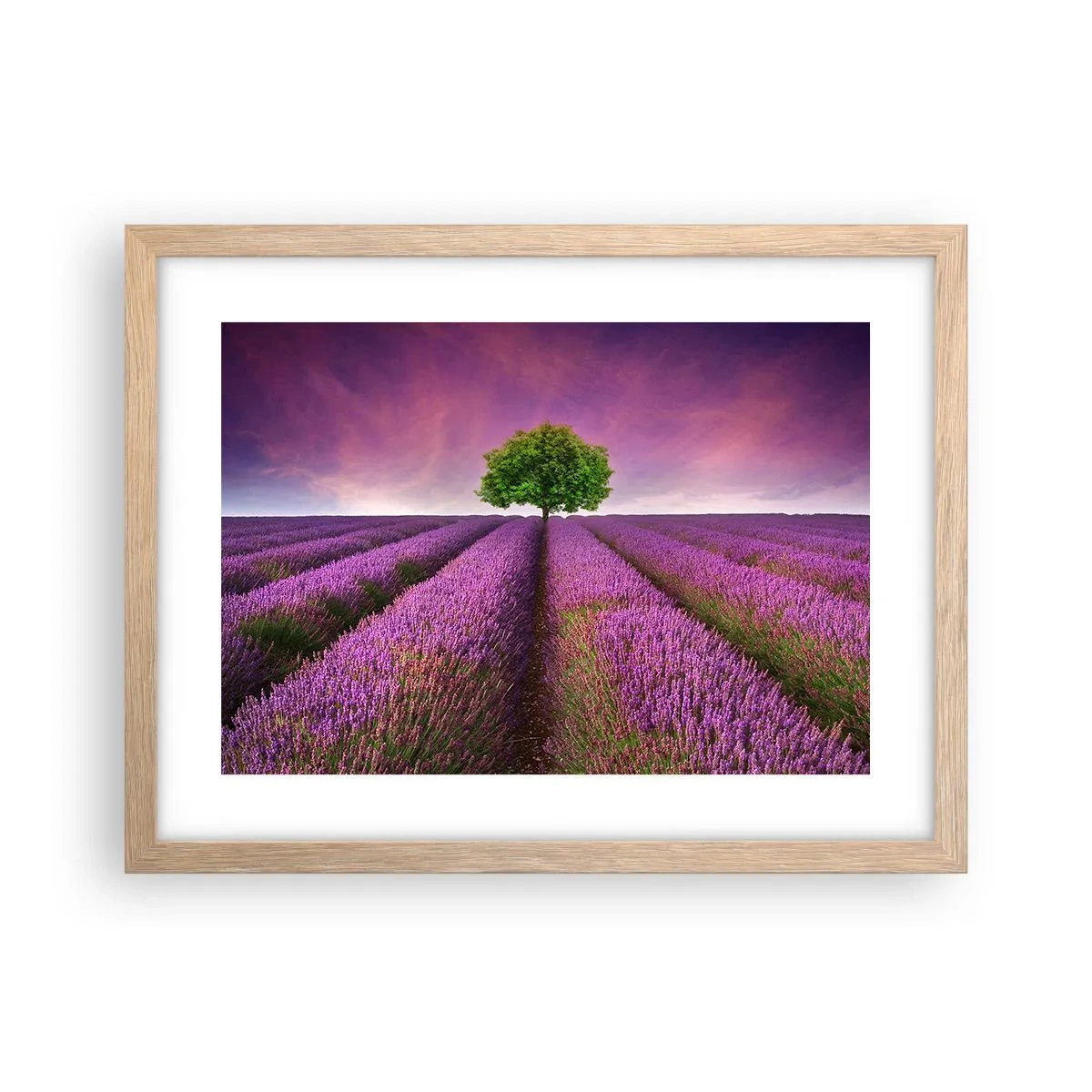 Pôster com moldura de carvalho claro - Nos campos de lavanda - 40x30 cm