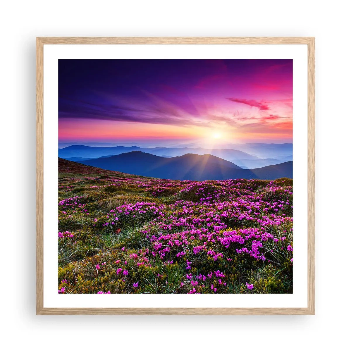 Pôster com moldura de carvalho claro - Campo cheiroso - 60x60 cm