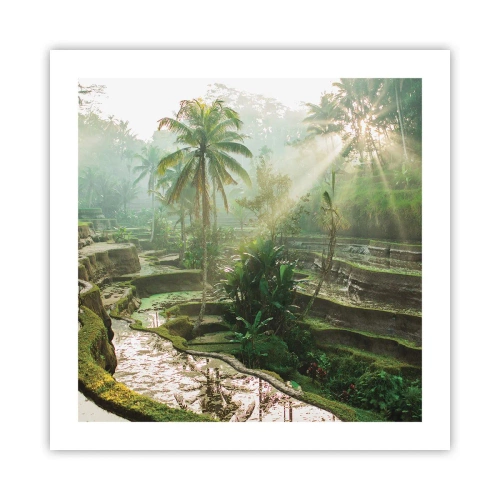 Pôster - Crescer ao sol - 50x50 cm