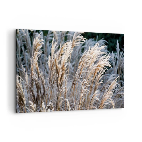 Quadro em tela - Decorado com a geada - 120x80 cm