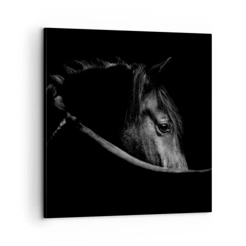 Quadro em tela - Príncipe Negro - 60x60 cm