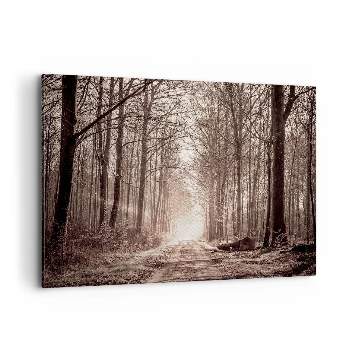 Quadro em tela - Catedral na Floresta - 100x70 cm