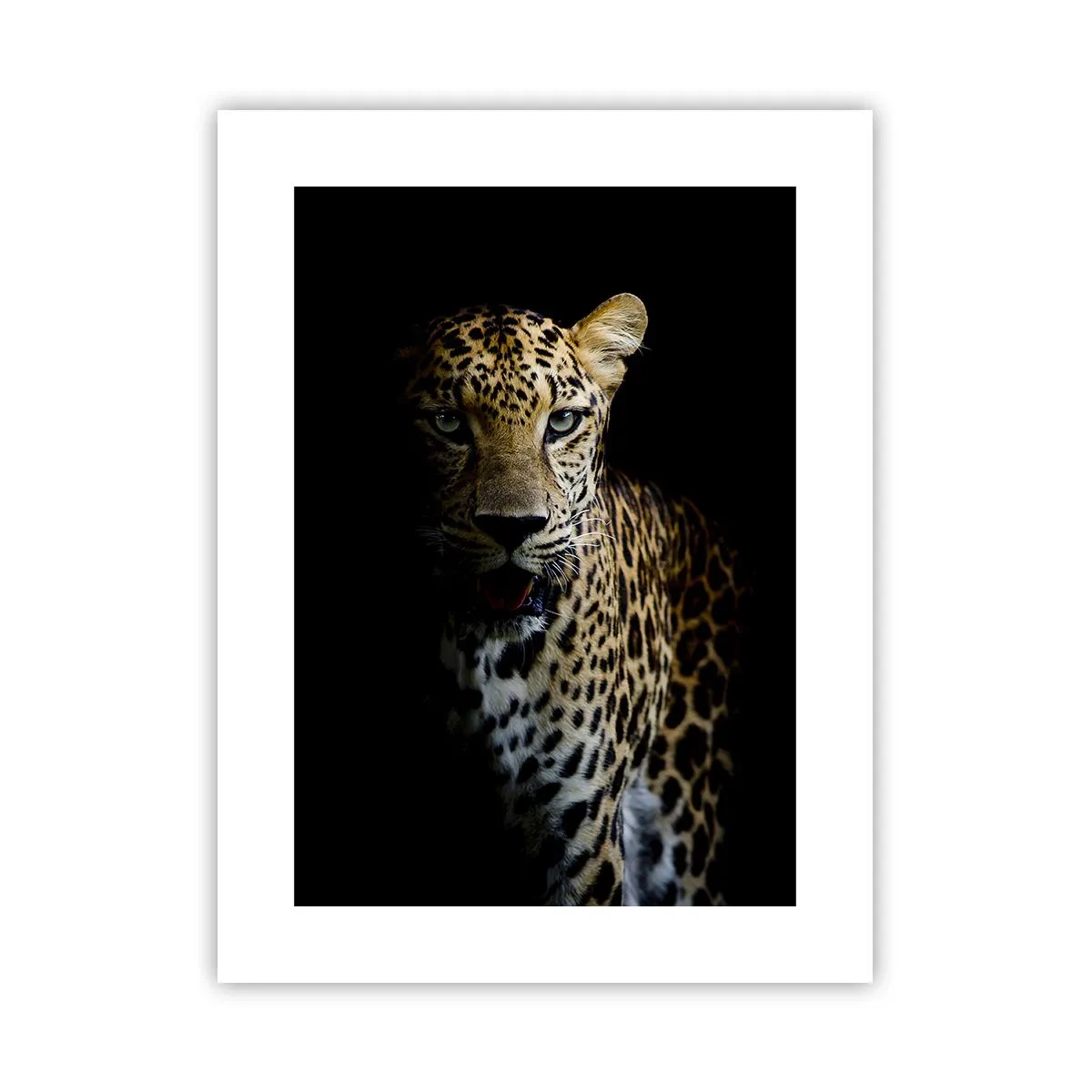 Pôster - Beleza escura - 30x40 cm