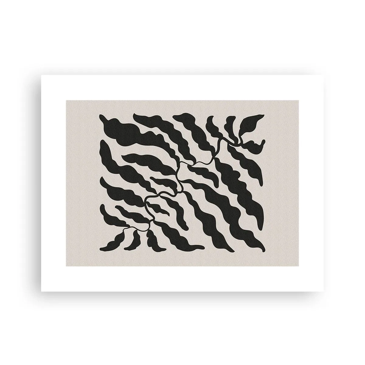 Pôster - A natureza da praça - 40x30 cm