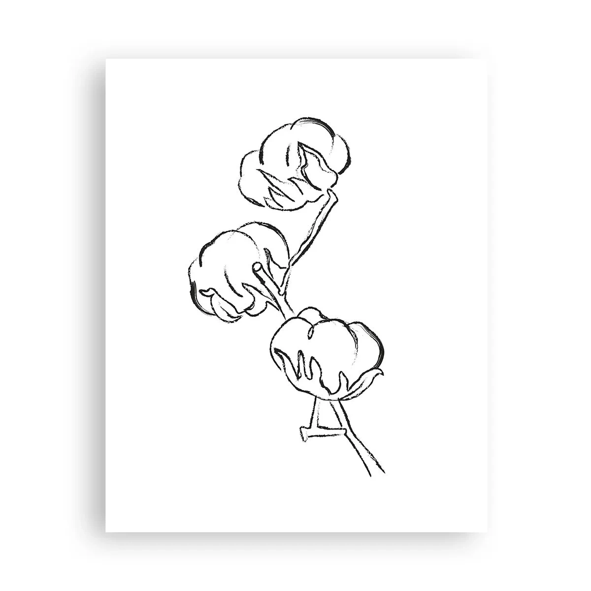 Pôster - Algodão para baixo - 40x50 cm