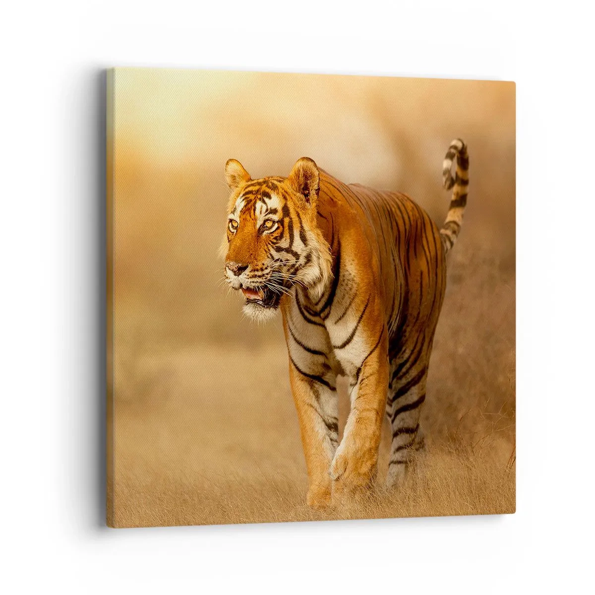 Quadro em tela - Antes do ataque - 40x40 cm