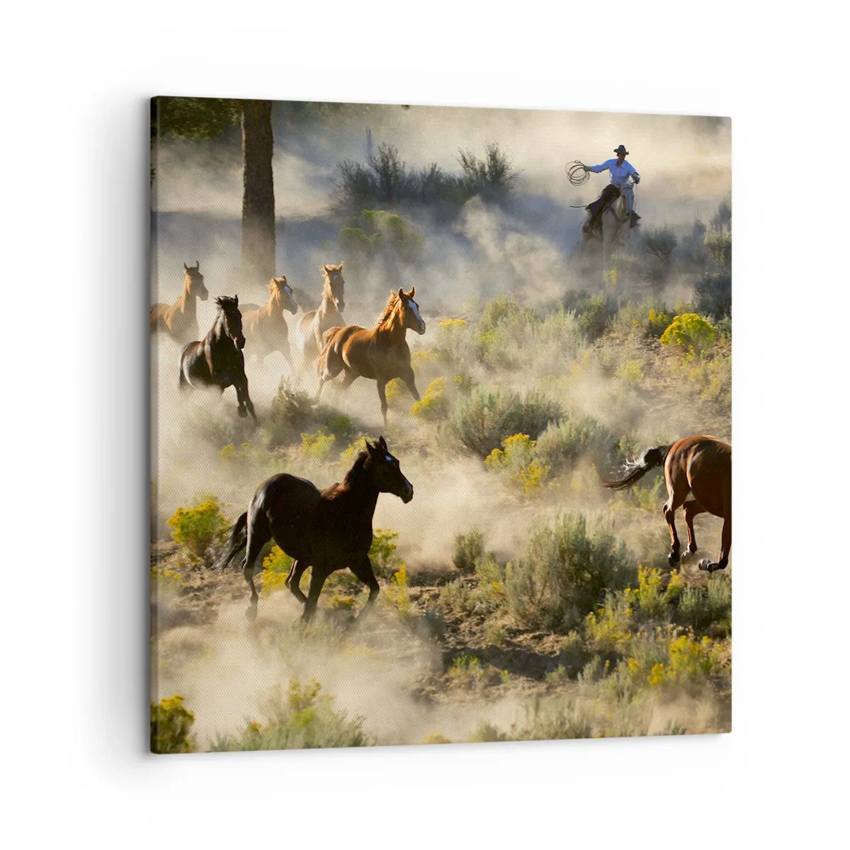 Quadro em tela - Competição - liberdade ou força masculina? - 50x50 cm