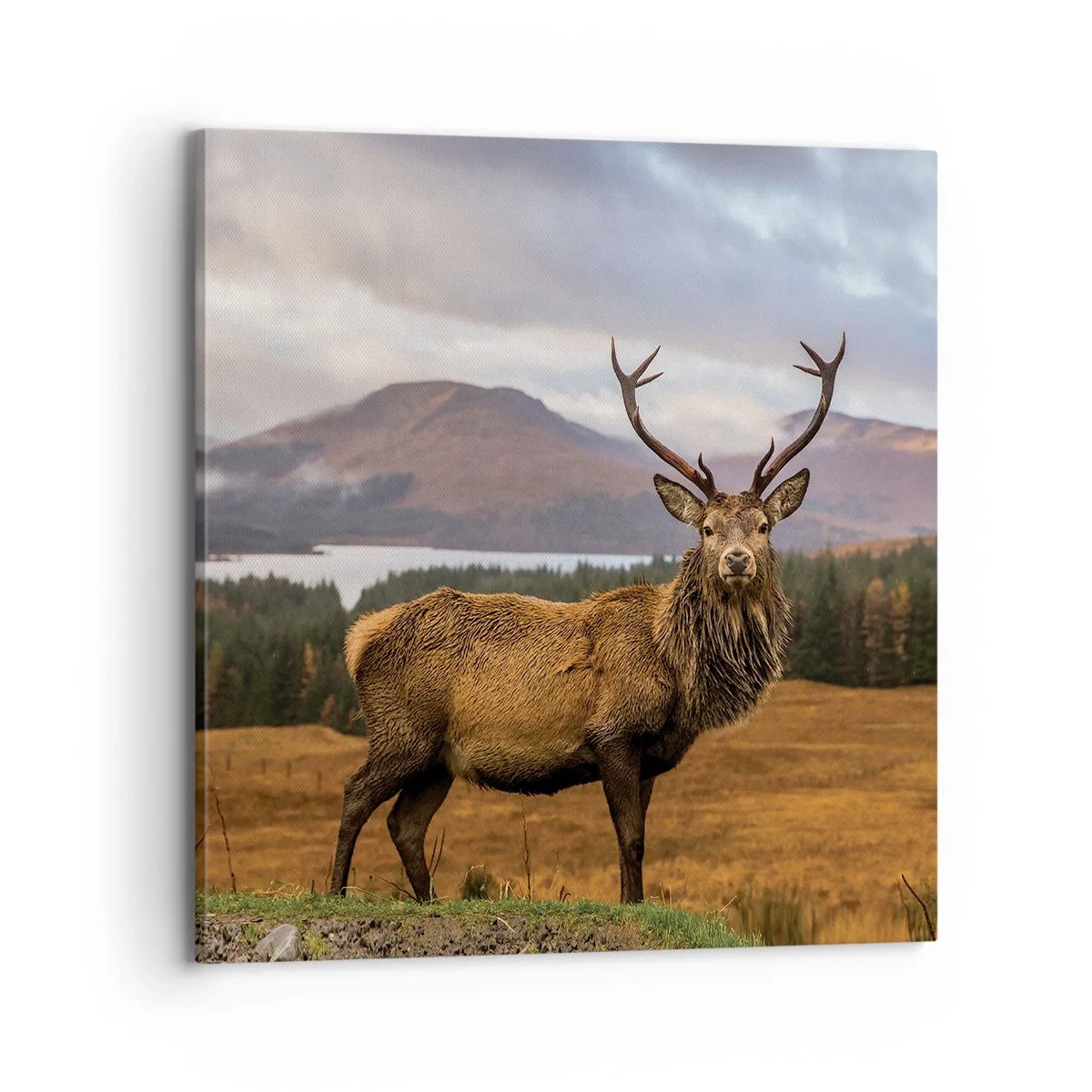 Quadro em tela - A majestade da natureza - 70x70 cm