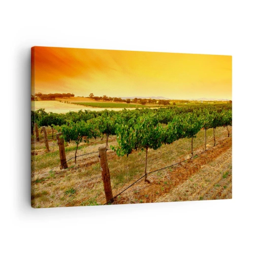 Quadro em tela - Videiras em uma plantação ao pôr do sol dourado - 70x50cm - Sede de sol - Decoração de parede moderna para a sala de estar e quarto ARTTOR