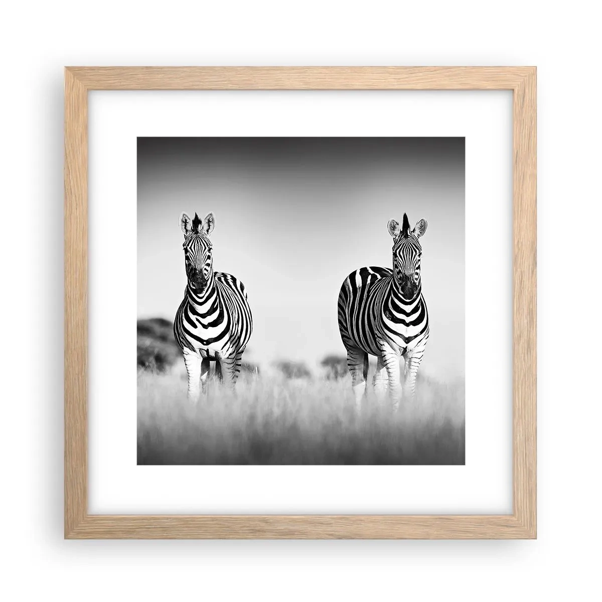 Pôster com moldura de carvalho claro - De fato, o mundo é a preto e branco - 30x30 cm