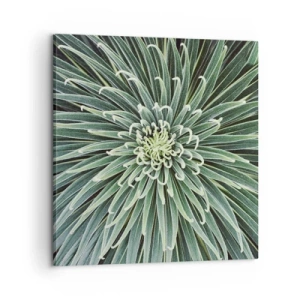 Quadro em tela - Nasce uma estrela - 60x60 cm