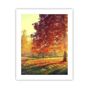 Pôster - O vermelho é lindo - 40x50 cm