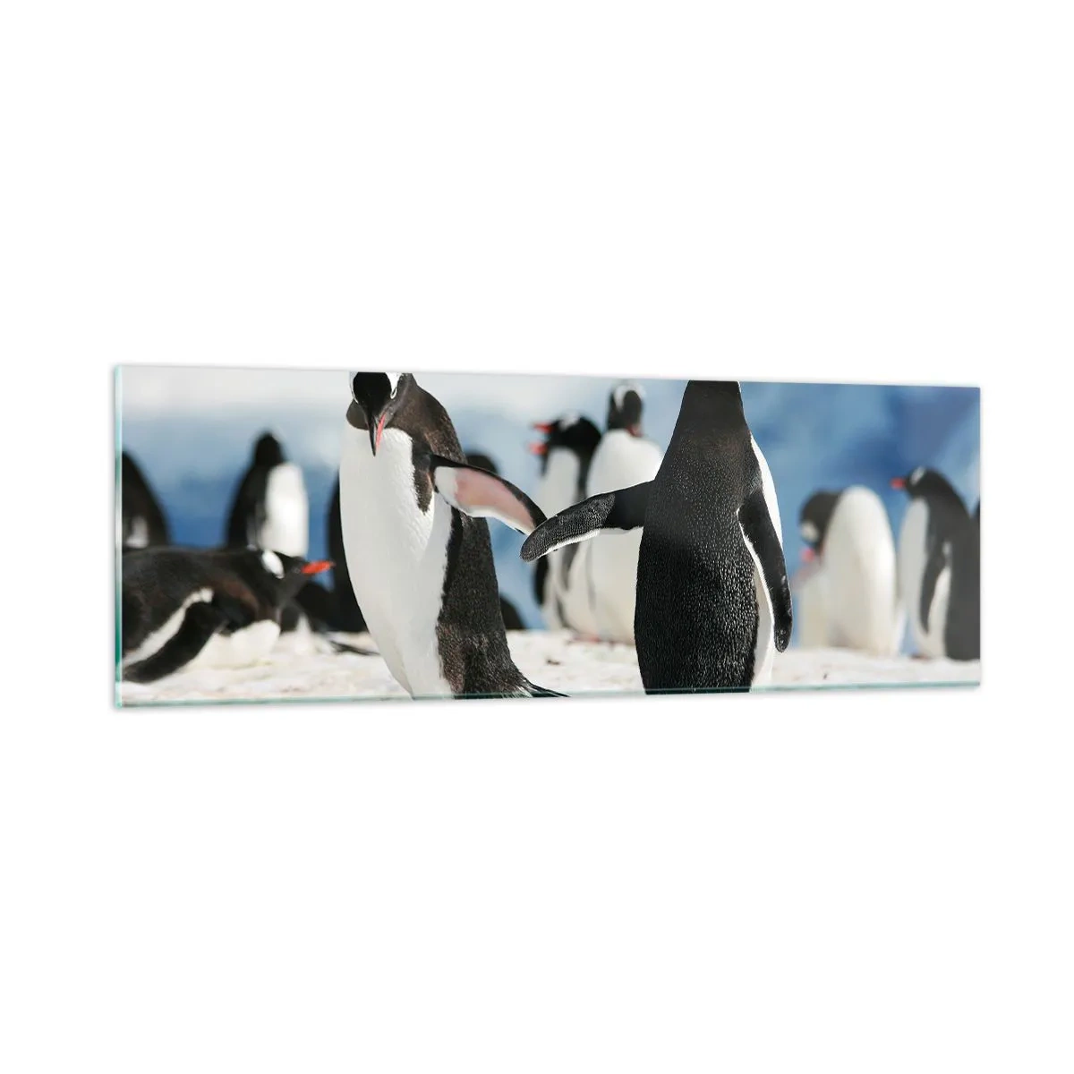 Quadro em vidro - Dança na neve - 90x30 cm