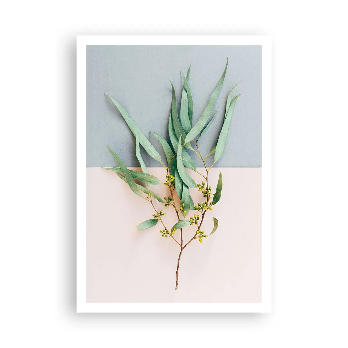 Pôster - Sutileza pastel - 70x100 cm