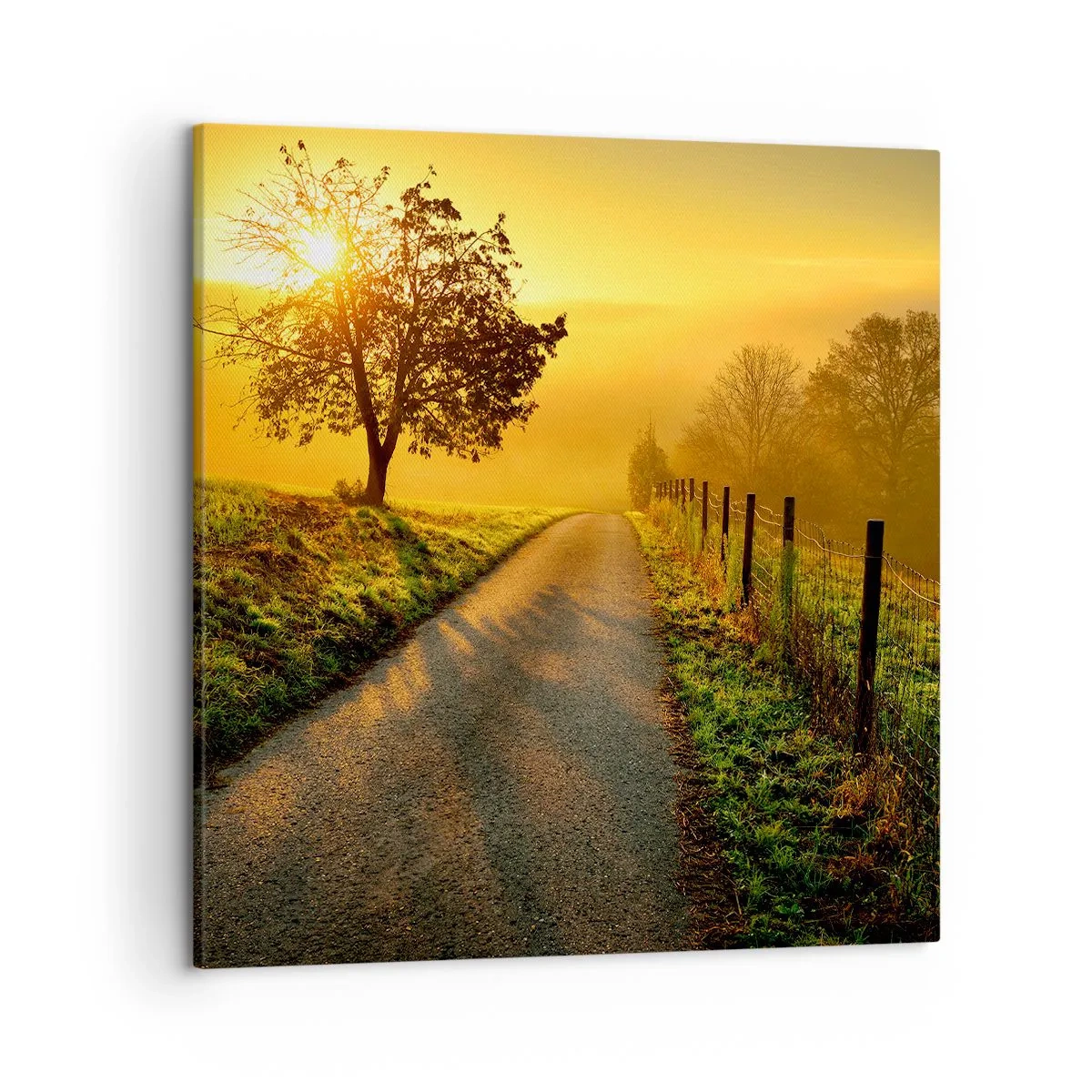 Quadro em tela - Uma tarde agradável - 50x50 cm