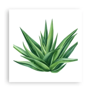 Pôster - Verde – força – vida - 60x60 cm