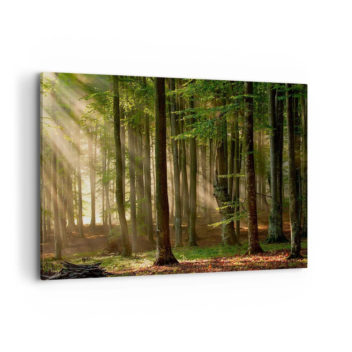 Quadro em tela - Radiante em uma manhã de primavera - 100x70 cm