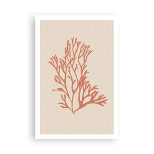 Pôster - Filigrana coral - 61x91 cm