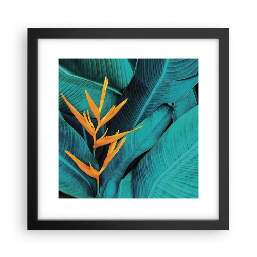 Pôster com moldura preta - Flor do Éden - 30x30 cm