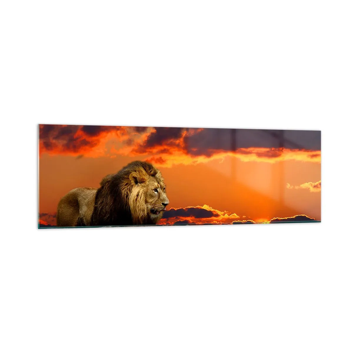 Quadro em vidro - Rei da natureza - 160x50 cm